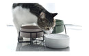 StandBowl™ | Conjunto Duplo de Tigelas de Cerâmica com Suporte para Gatos e Cães