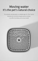 AquaCircle™ | Bebedouro Elétrico 3L com Recirculação Automática e Filtro para Gatos