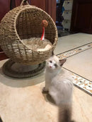 RoundHang™ | Hammock Redondo Semiaberto em Rattan para Gatos — Verão e Inverno