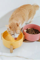 CeramSet™ | Conjunto Duplo de Tigelas de Cerâmica Autômontável para Gatos