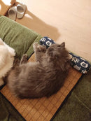 CoolRattan™ | Tapete Refrescante de Rattan Natural para Gatos e Cães — Verão