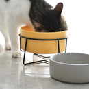 StandBowl™ | Conjunto Duplo de Tigelas de Cerâmica com Suporte para Gatos e Cães