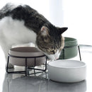 StandBowl™ | Conjunto Duplo de Tigelas de Cerâmica com Suporte para Gatos e Cães