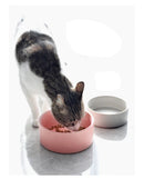 StandBowl™ | Conjunto Duplo de Tigelas de Cerâmica com Suporte para Gatos e Cães