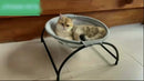 CoolRest™ | Cama Hammock Respirável e Refrescante para Gatos e Cães Pequenos