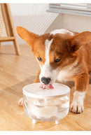 QuietFlow™ | Bebedouro Elétrico Silencioso 1L USB para Gatos e Cães Pequenos