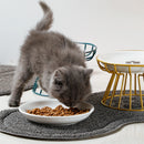 NordicPaw™ | Tigela de Cerâmica Nórdica com Pé Alto para Gatos e Cães