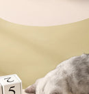 CeramBowl™ | Tigela Dupla de Cerâmica para Ração e Água de Gatos e Cães