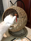 RoundHang™ | Hammock Redondo Semiaberto em Rattan para Gatos — Verão e Inverno