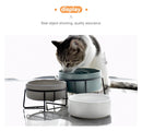 StandBowl™ | Conjunto Duplo de Tigelas de Cerâmica com Suporte para Gatos e Cães