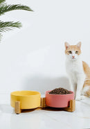 CeramDuo™ | Conjunto Duplo de Tigelas de Cerâmica Autômontável 400ml para Gatos