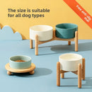 CeramSet™ | Conjunto Duplo de Tigelas de Cerâmica Autômontável para Gatos
