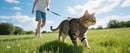 SafeWalk™ | Peitoral de Malha com Guia para Gatos e Cães Pequenos