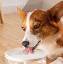 QuietFlow™ | Bebedouro Elétrico Silencioso 1L USB para Gatos e Cães Pequenos